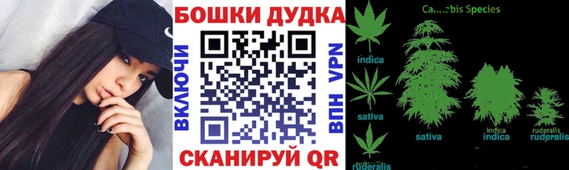 Наркошоп Ува A-PVP  Галлюциногенные грибы  ГАШ 