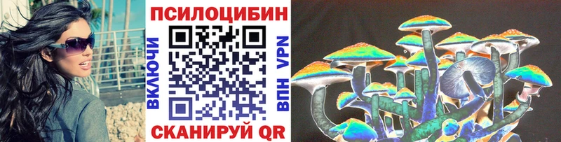 Галлюциногенные грибы Psilocybe где можно купить наркотик Ува