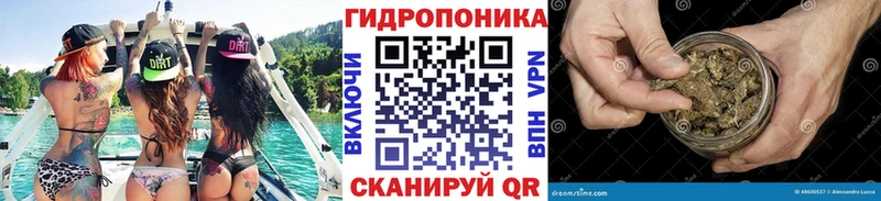 Каннабис марихуана  OMG ONION  Ува 